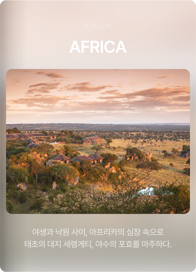 VIA SHINSEGAE - 아프리카