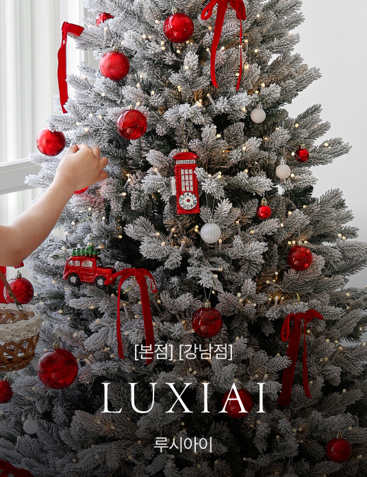 [본점][강남점] 루시아이