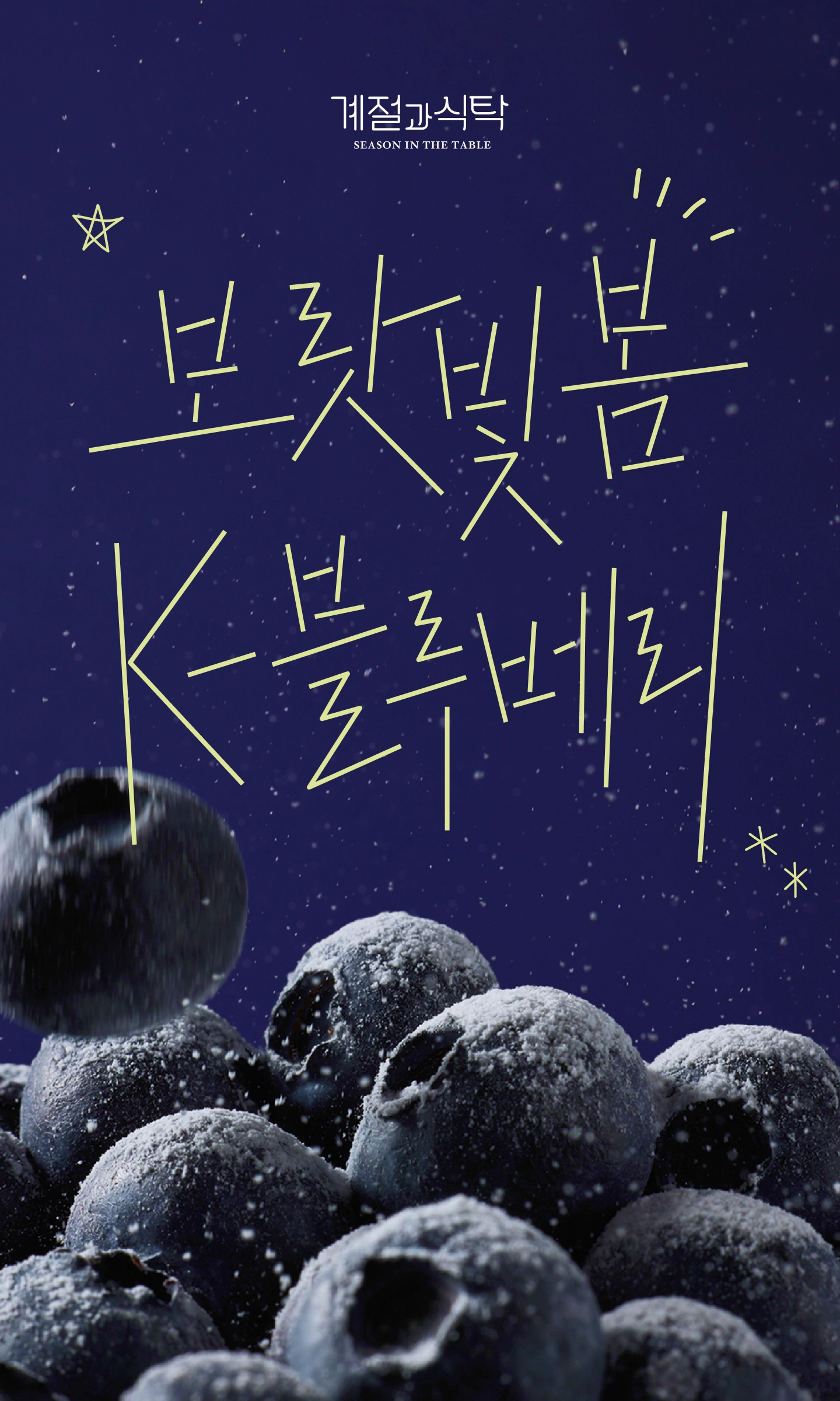 계절과 식탁 - 보랏빛봄 K-블루베리