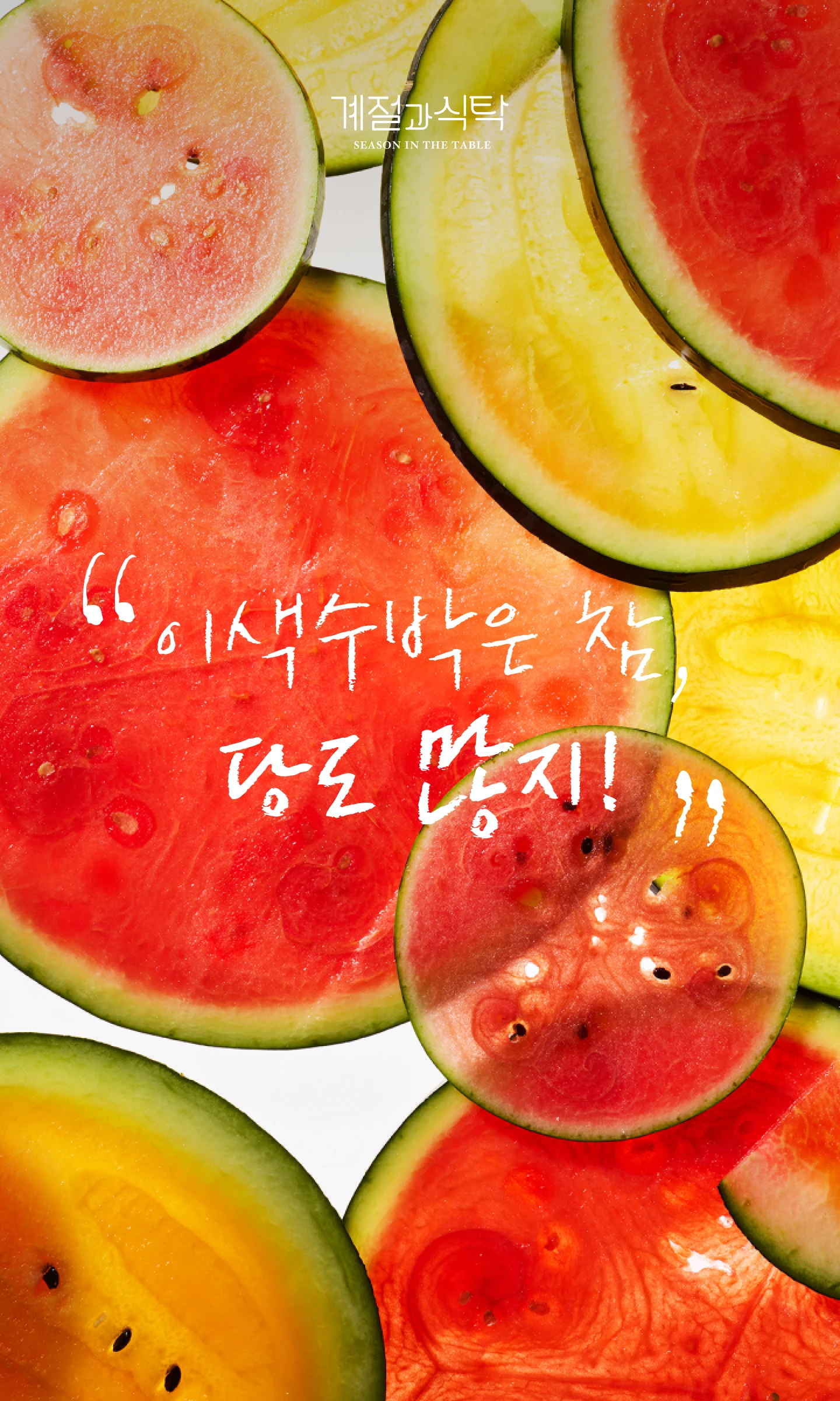 계절과 식탁 - 이색수박은 참, 당도 많지!